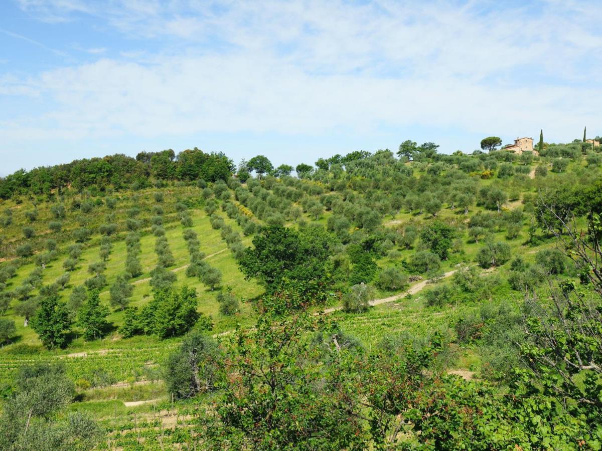 Holiday Home Poggio Velluto By Interhome Seggiano Exterior photo